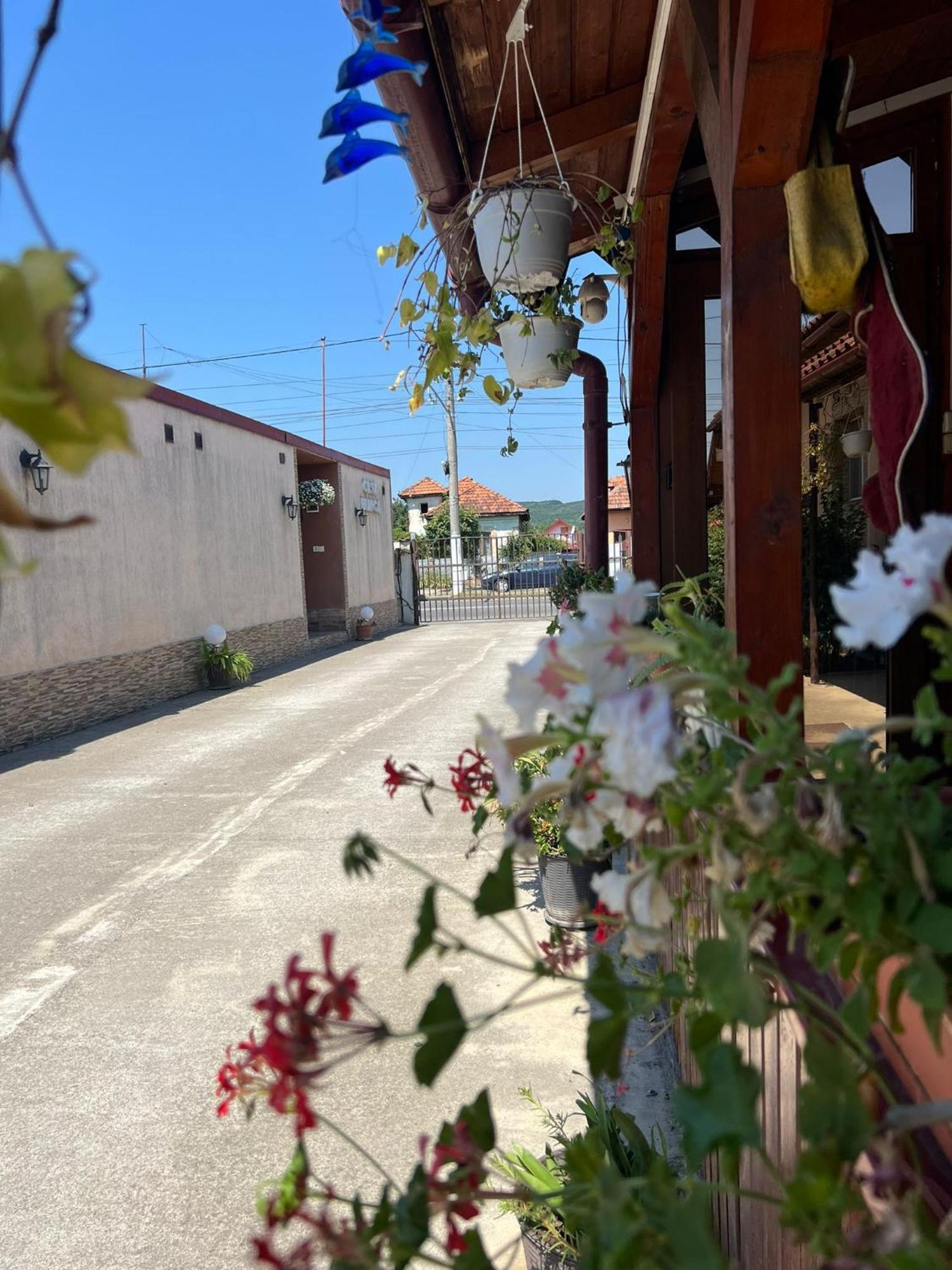 Pensiunea Casa Bianca Târgu Jiu 외부 사진